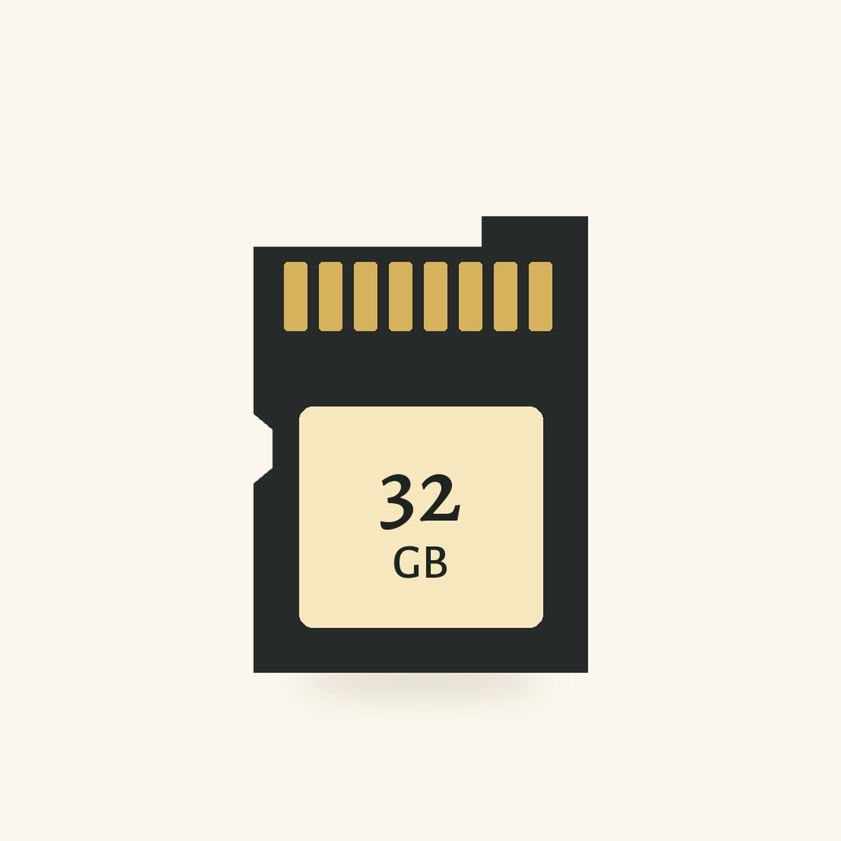 32GB memory card, 32gb